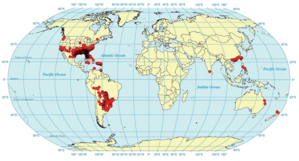 Worldwide distribution records of Solenopsis invicta - invasive ant species
